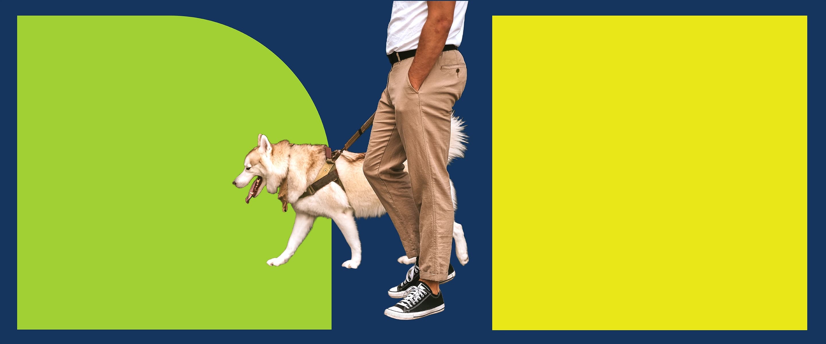A resident walking a dog through Nova North Commons