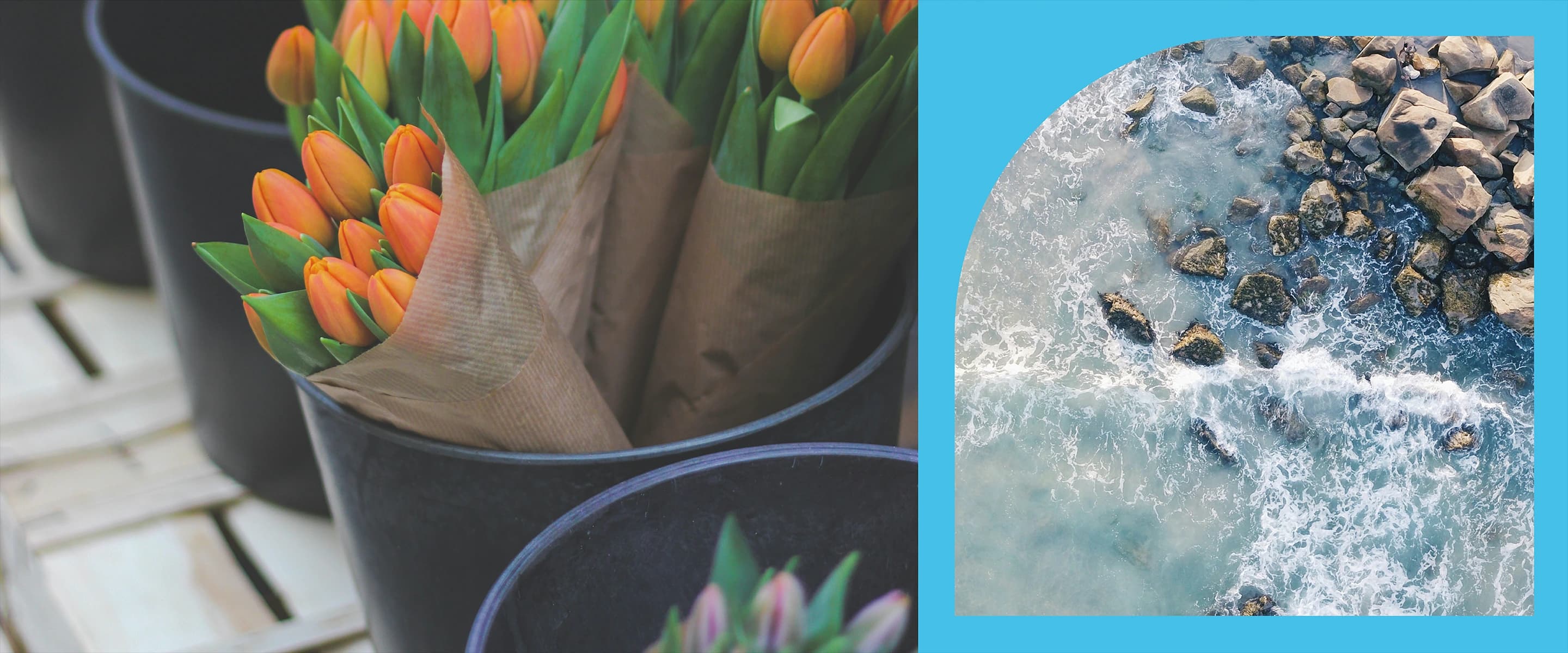 A market flower stall and the shoreline, framed in the Nova North shapes