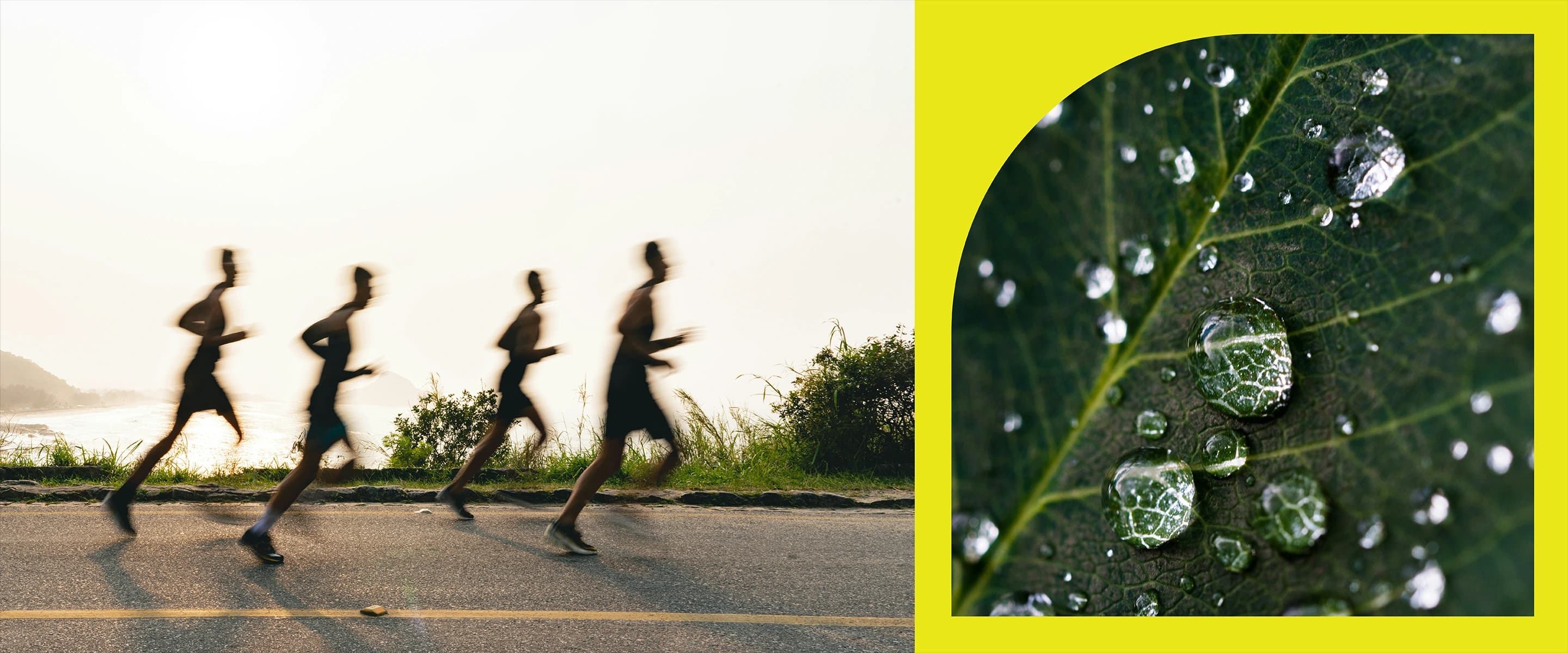 Runners at dawn and rainfall on a leaf, framed in the Nova North shapes